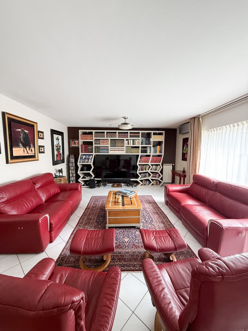 Living room with red couches, coffee table, rug, bookshelves, and a television