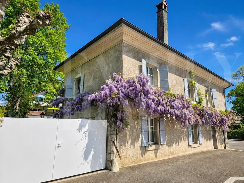 EXCLUSIVITE: Magnifique triplex de 325 m2 PPE situé au sein d'une ancienne bâtisse (11)