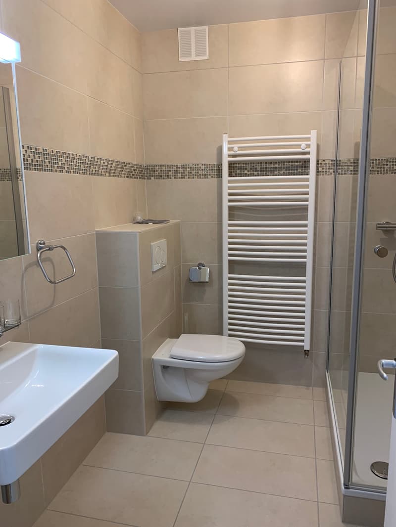 EN EXCLUSIVITE - Magnifique Appartement lumineux de 5.5 pièces (11)