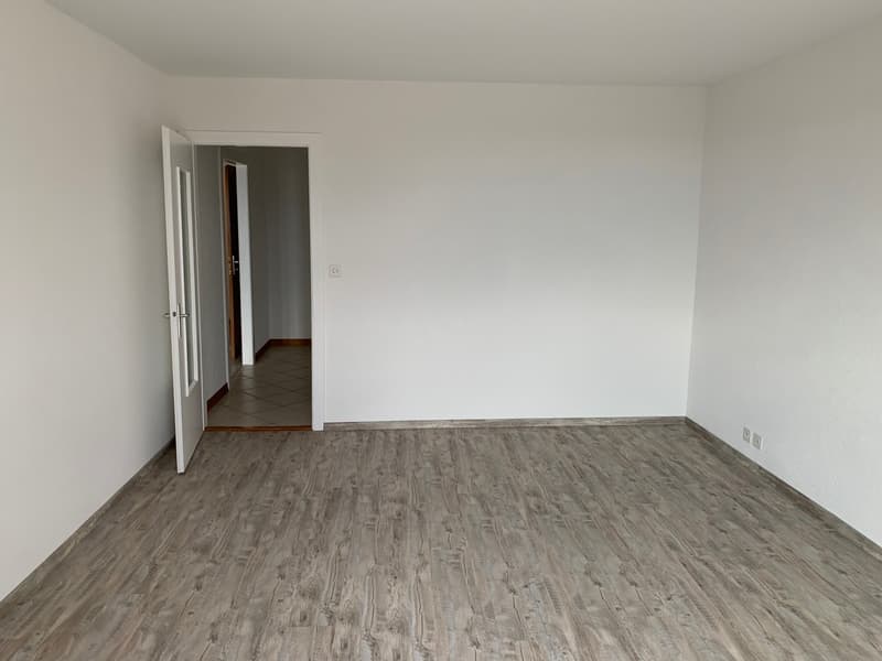 EN EXCLUSIVITE - Magnifique Appartement lumineux de 5.5 pièces (8)