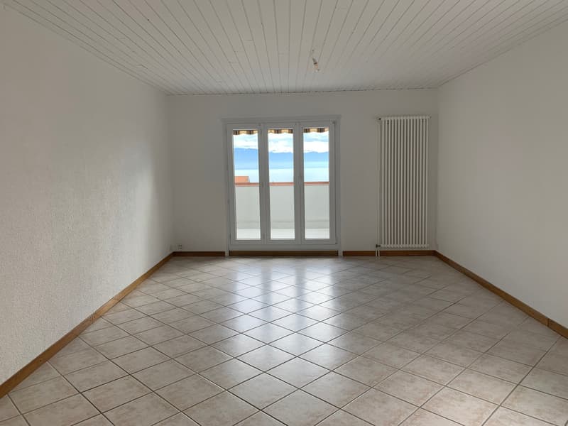 EN EXCLUSIVITE - Magnifique Appartement lumineux de 5.5 pièces (4)