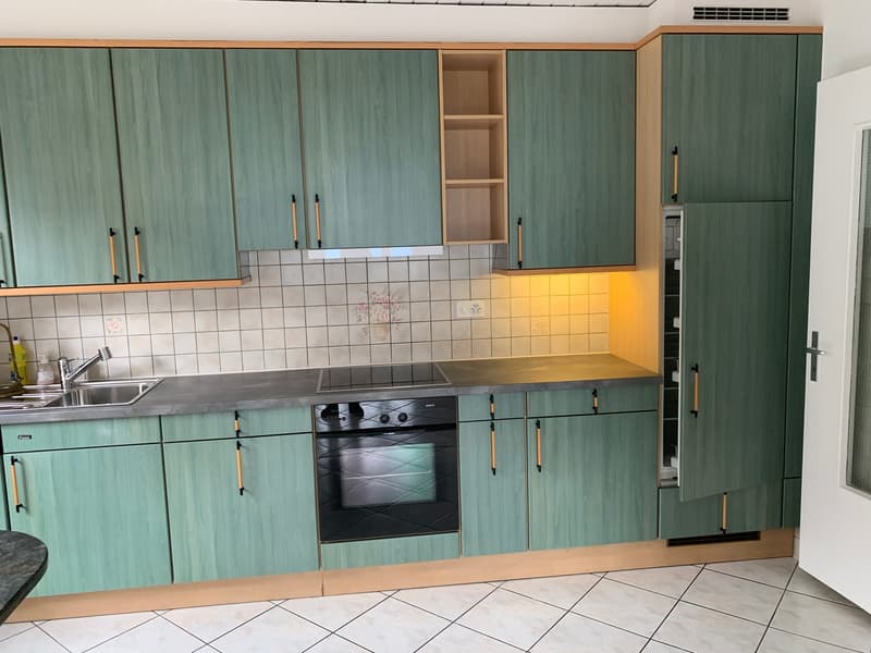 EN EXCLUSIVITE - Magnifique Appartement lumineux de 5.5 pièces (7)