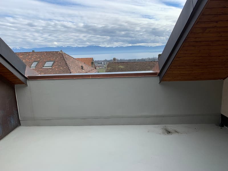 EN EXCLUSIVITE - Magnifique Appartement lumineux de 5.5 pièces (2)