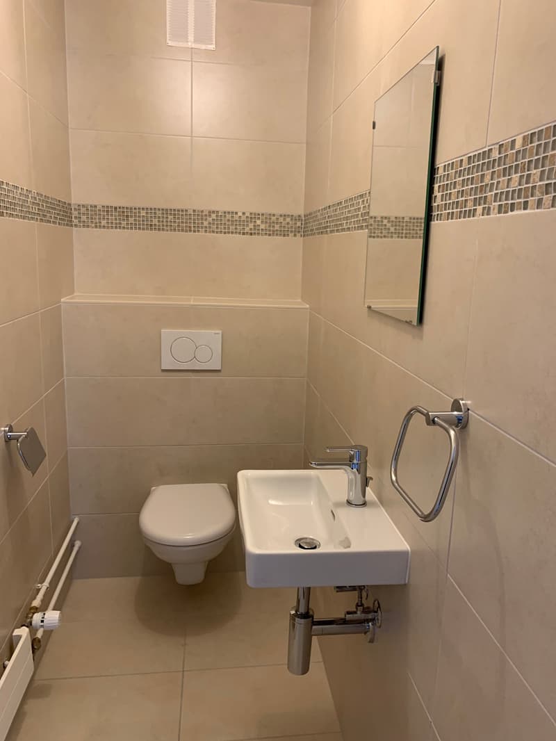 EN EXCLUSIVITE - Magnifique Appartement lumineux de 5.5 pièces (10)