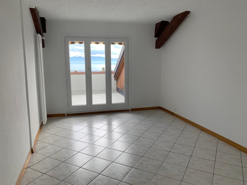 EN EXCLUSIVITE - Magnifique Appartement lumineux de 5.5 pièces (3)