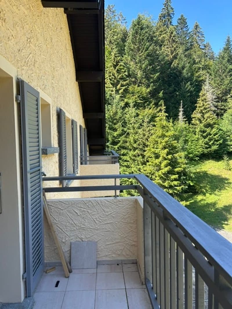 Charmant appartement de 3,5 pièces au 2ème étage, avec balcon et vue à Saint-Cergue (3)