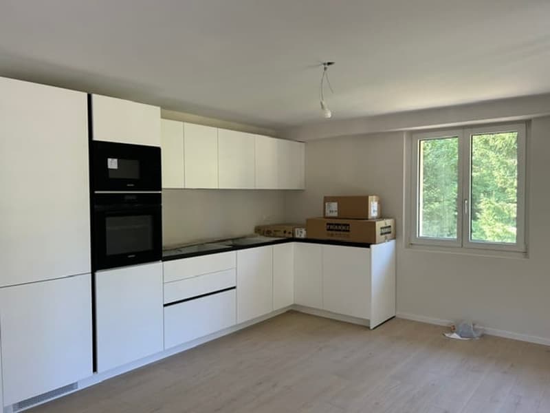 Appartement 4.5 pièces rénové avec balcon et vue verdoyante à Saint-Cergue (2)