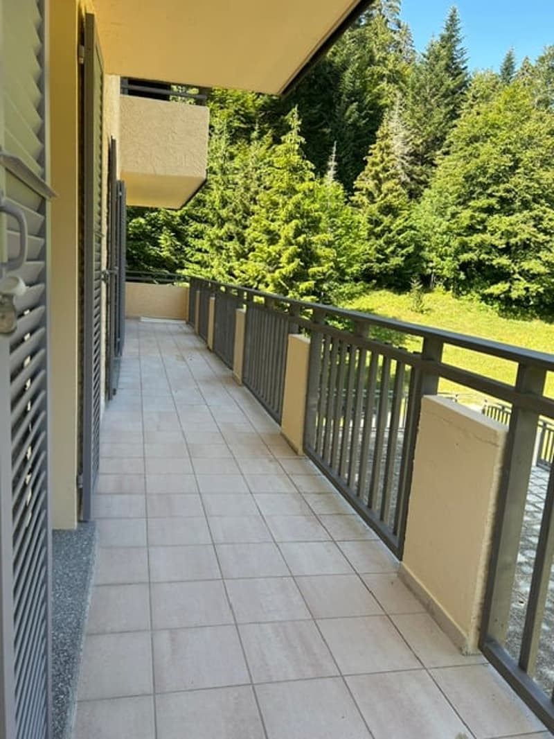 Appartement 4.5 pièces rénové avec balcon et vue verdoyante à Saint-Cergue (9)