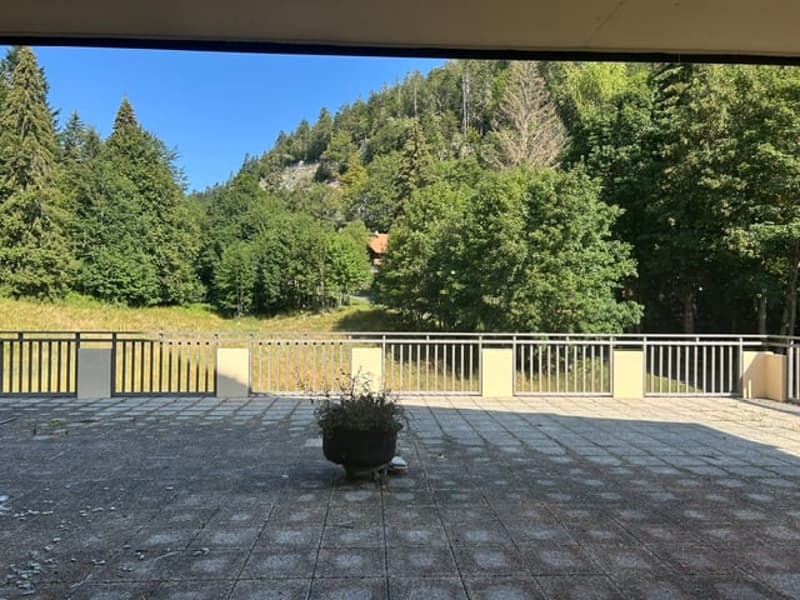 Appartement 4 pièces au rez - lumineux avec balcon et belle vue à Saint-Cergue (3)
