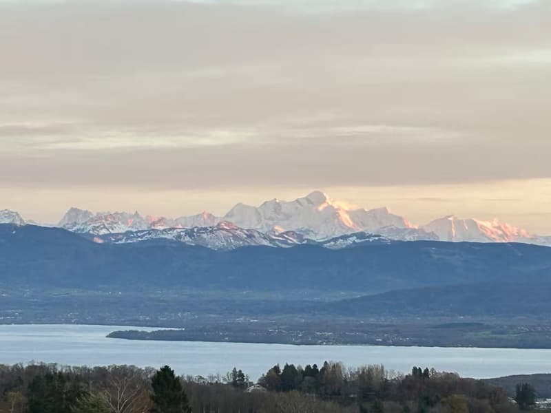 Magnifique appartement de 4 pièces meublé à louer à Bassins (15)