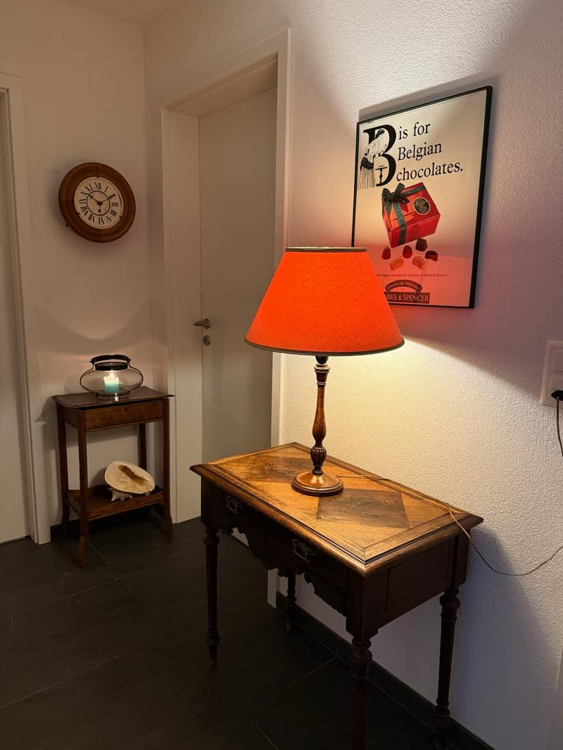 Magnifique appartement de 4 pièces meublé à louer à Bassins (8)