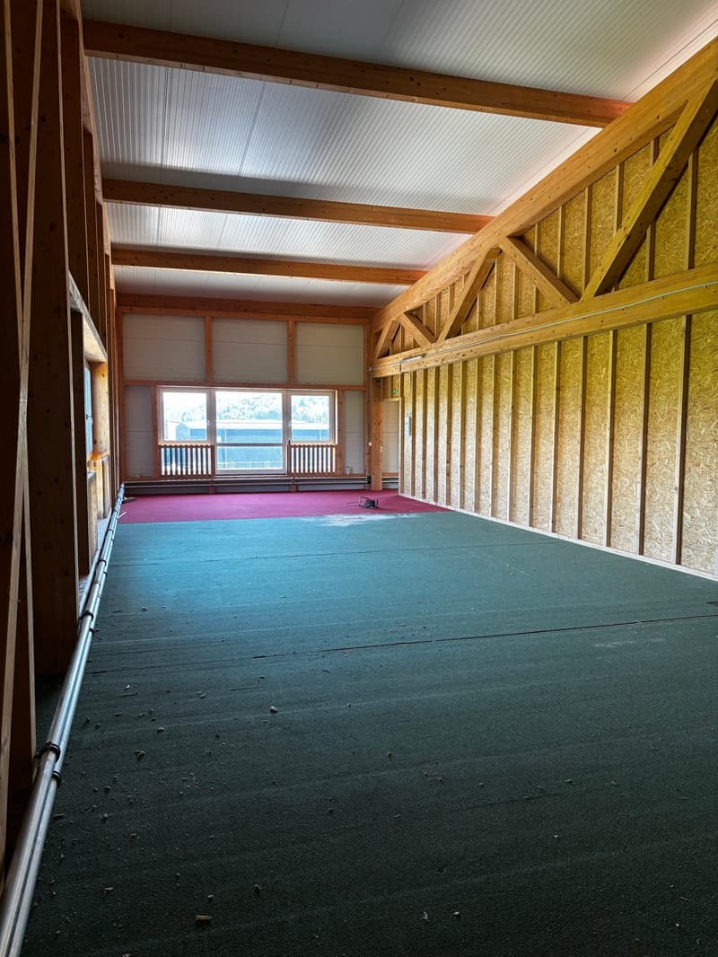 large room, wooden walls, white ceiling, green floor, red carpet, large windows, balcony