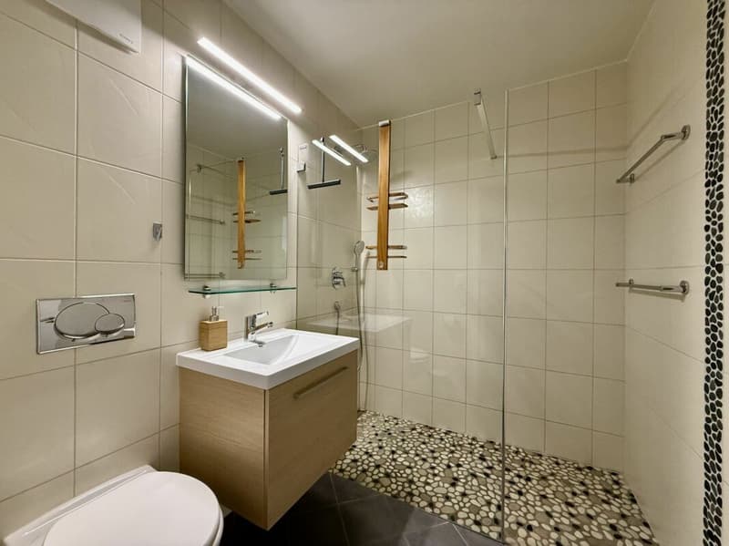 Appartement 5.5 pièces à Yverdon-les-Bains (12)