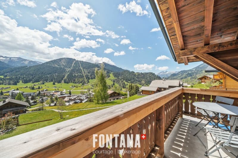 Chalet plurifamilial de caractère (29)