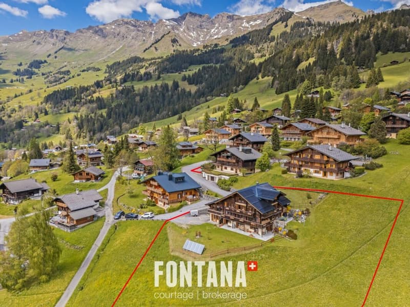Chalet plurifamilial de caractère (30)