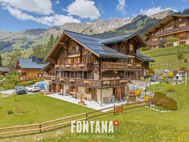 Chalet plurifamilial de caractère (31)