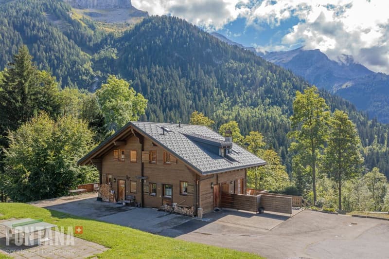 Demi-chalet en triplex - La Marchande 2D, PPE Les Parchets (14)