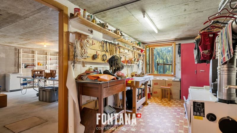 Chalet alpin (14)