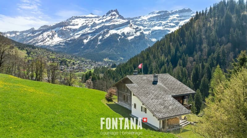 Chalet alpin (32)