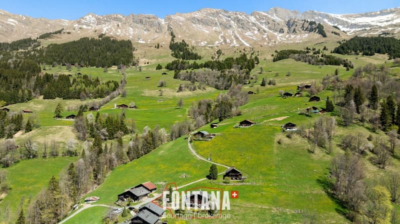 Chalet alpin (23)