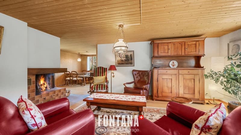 Chalet alpin (24)