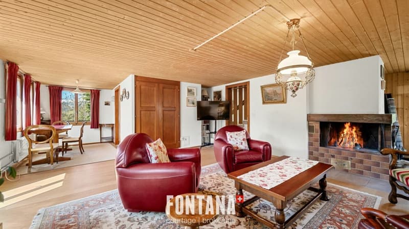 Chalet alpin (25)