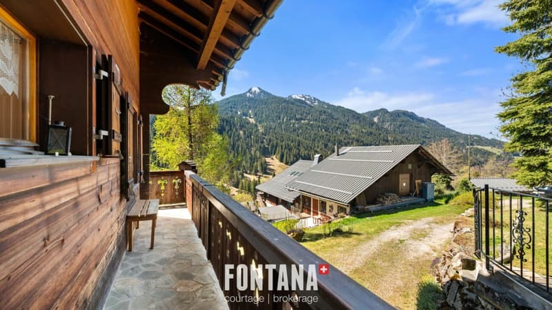 Chalet alpin (8)