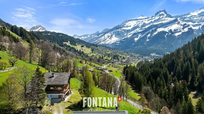 Chalet alpin (30)