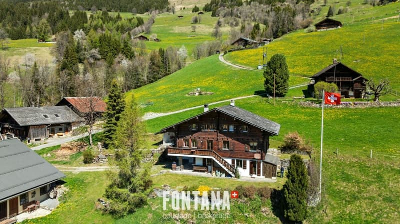 Chalet alpin (1)