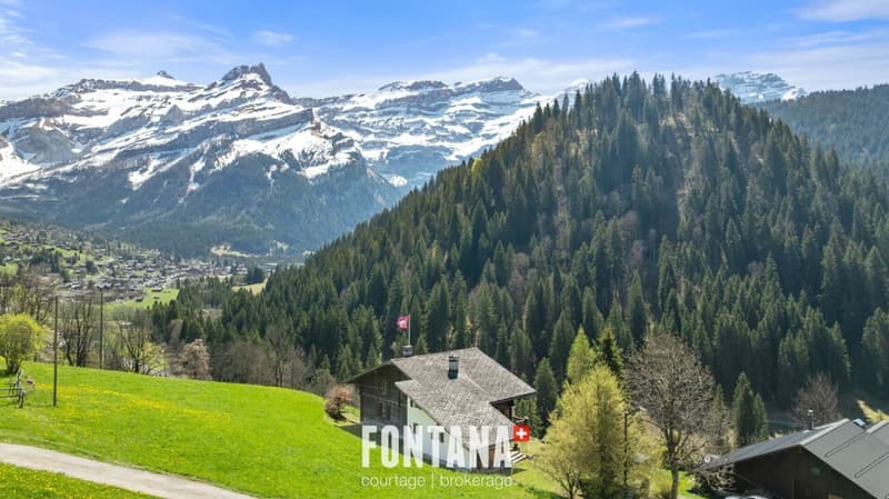 Chalet alpin (34)