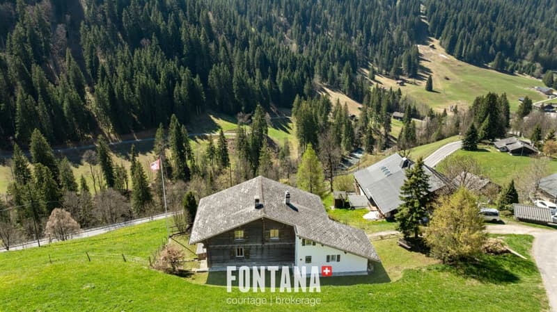 Chalet alpin (37)