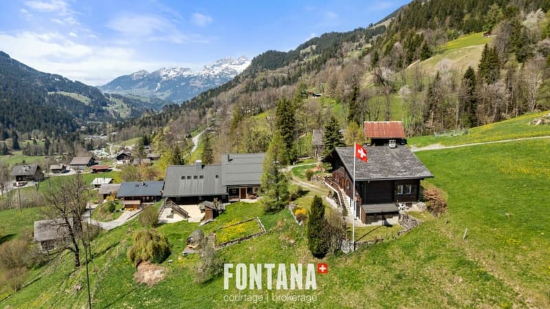 Chalet alpin (35)