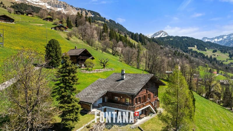 Chalet alpin (40)