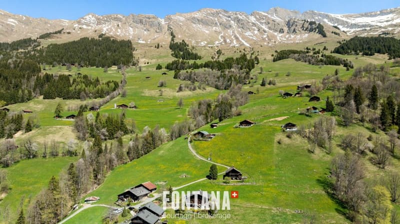 Chalet alpin (31)