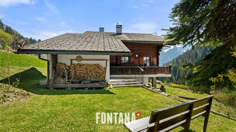 Chalet alpin (13)