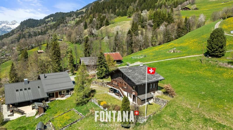 Chalet alpin (38)