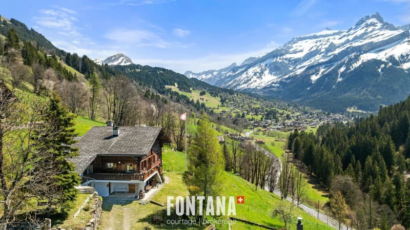 Chalet alpin (22)