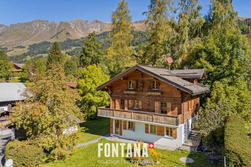 Chalet d'exception et emplacement privilégié (1)
