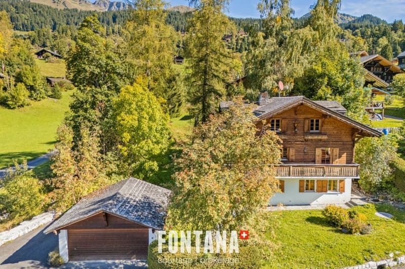 Chalet d'exception et emplacement privilégié (18)