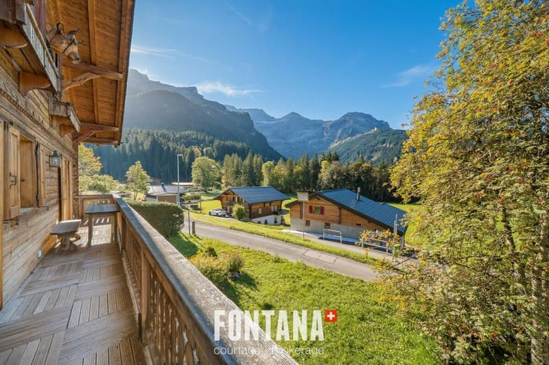 Chalet d'exception et emplacement privilégié (25)