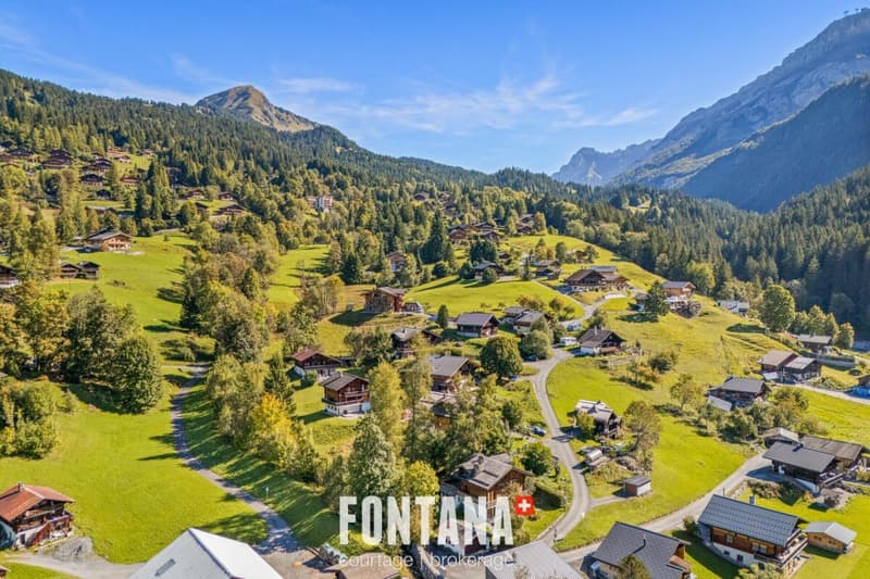 Chalet d'exception et emplacement privilégié (29)