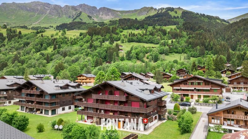 PPE Diablerets Parc C Lot C5 (13)