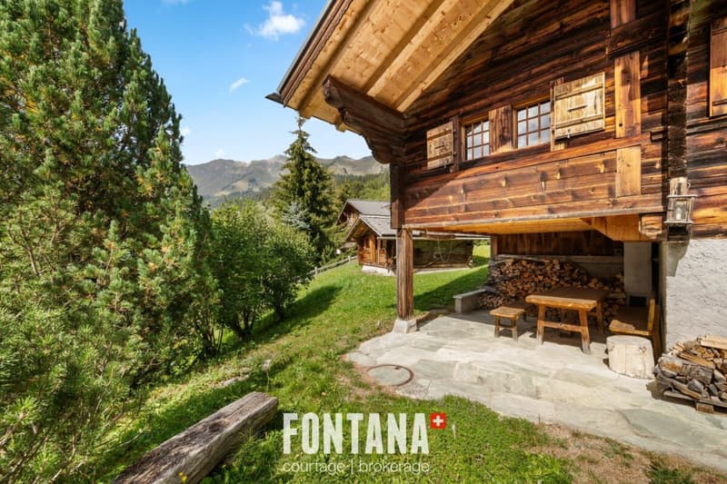 CHALET AUTHENTIQUE DE 1840 - LES DIABLERETS (31)