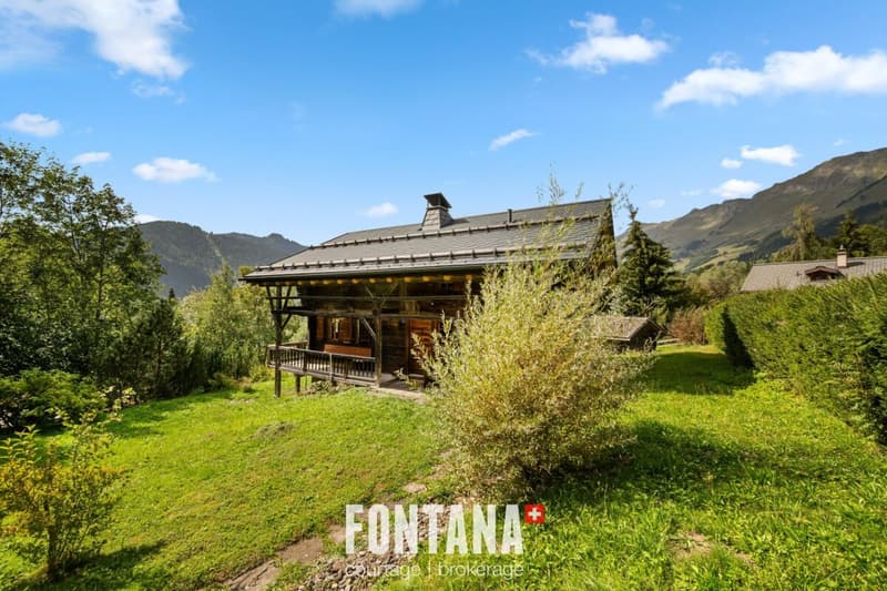 CHALET AUTHENTIQUE DE 1840 - LES DIABLERETS (29)