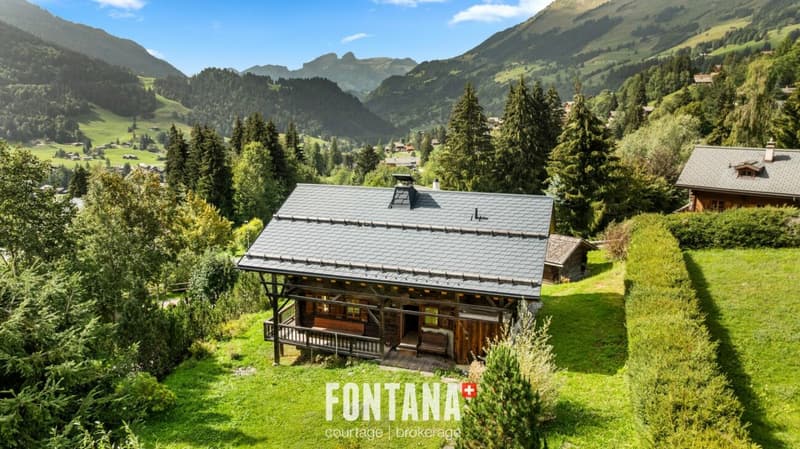 CHALET AUTHENTIQUE DE 1840 - LES DIABLERETS (35)