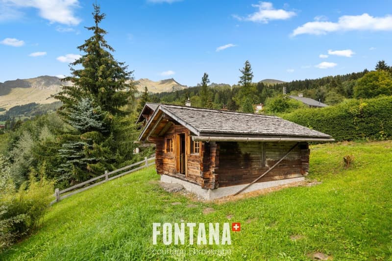 CHALET AUTHENTIQUE DE 1840 - LES DIABLERETS (33)
