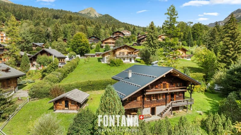 CHALET AUTHENTIQUE DE 1840 - LES DIABLERETS (1)