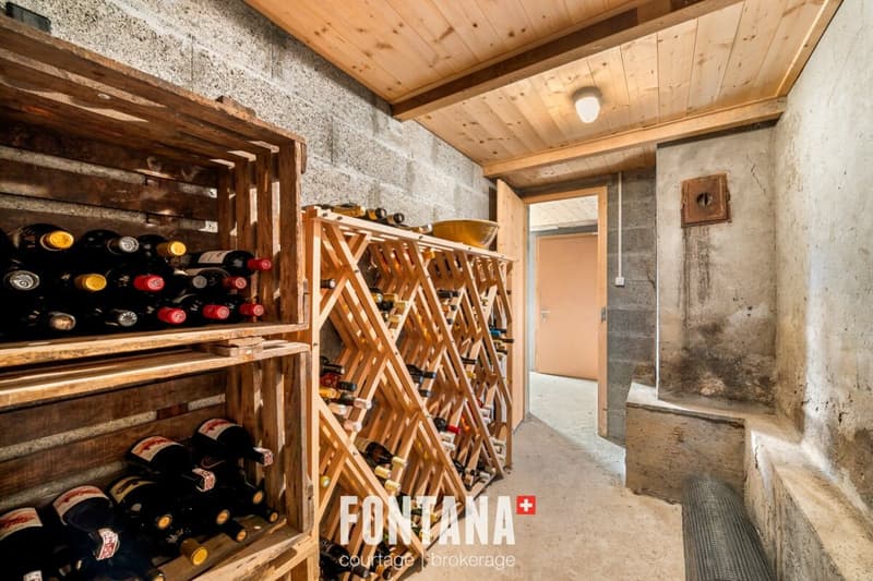 CHALET AUTHENTIQUE DE 1840 - LES DIABLERETS (27)