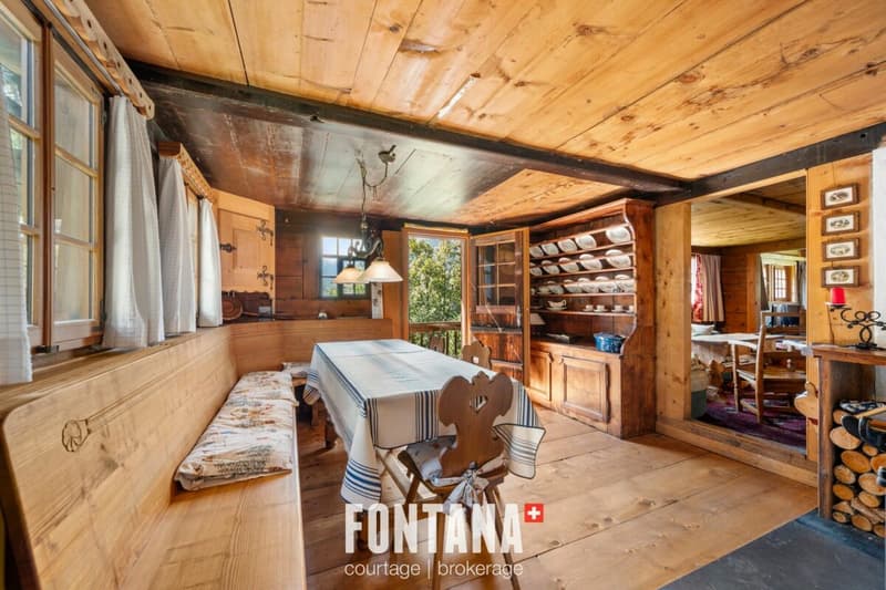CHALET AUTHENTIQUE DE 1840 - LES DIABLERETS (3)