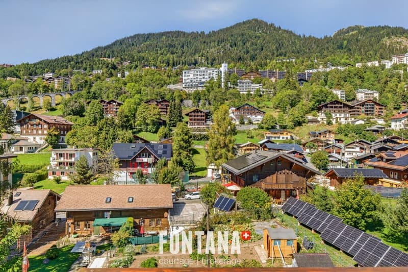 Chalet Volodalen (36)